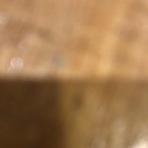 Meet your Posher, Jayden